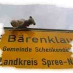 schild